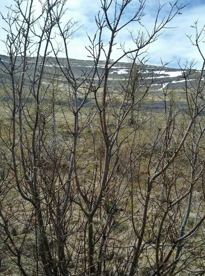 Hagi 2 Road 62 Nr 1 Villa Dış mekan fotoğraf