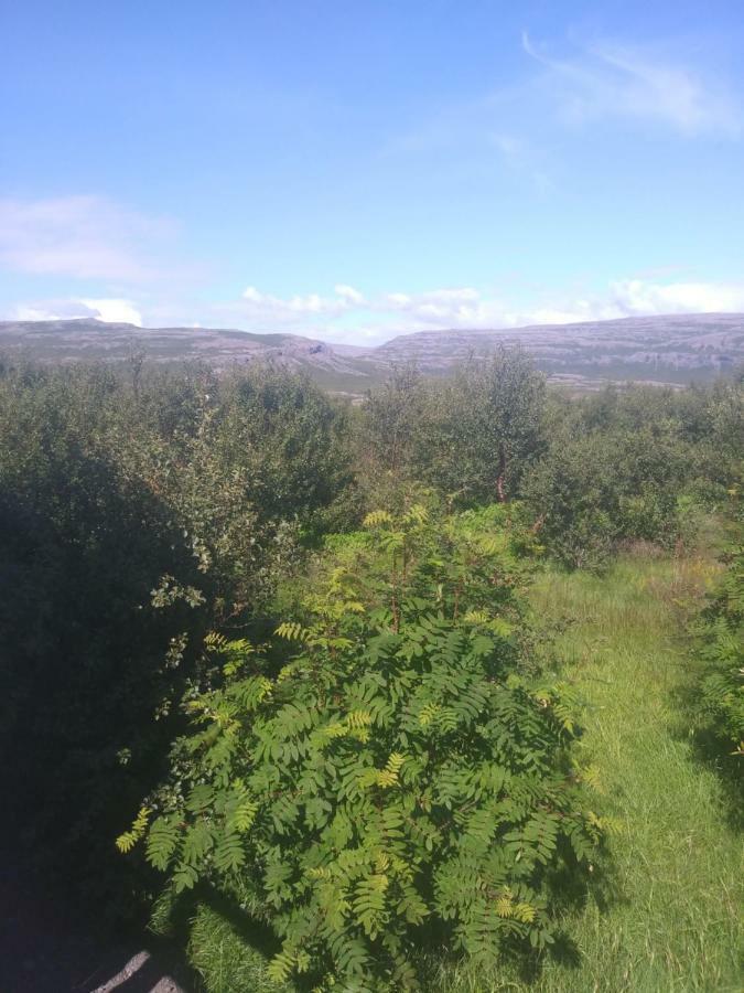 Hagi 2 Road 62 Nr 1 Villa Dış mekan fotoğraf